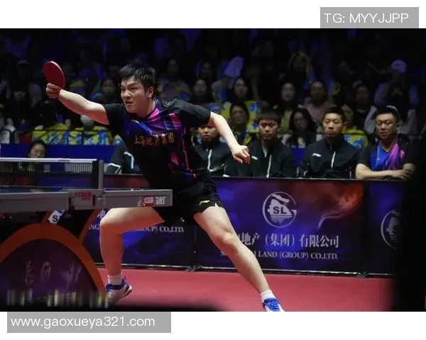 上海乒乓球队的节奏与风采探索乒乓球运动的魅力与发展